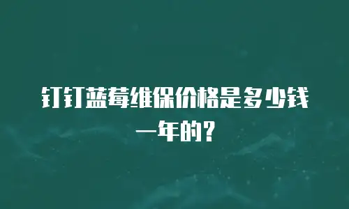 钉钉蓝莓维保价格是多少钱一年的？