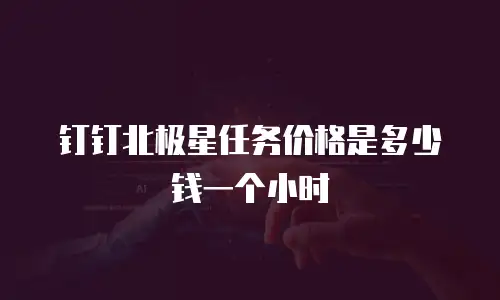 钉钉北极星任务价格是多少钱一个小时