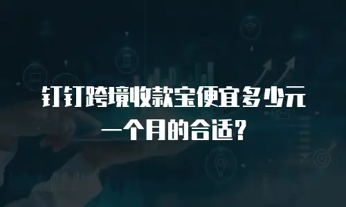 钉钉跨境收款宝便宜多少元一个月的合适？