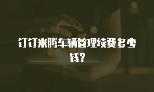 钉钉米腾车辆管理续费多少钱？
