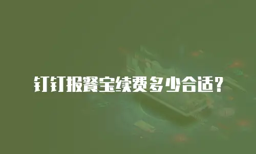 钉钉报餐宝续费多少合适？
