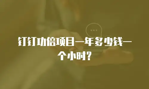 钉钉功倍项目一年多少钱一个小时？