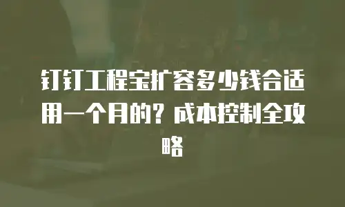 钉钉工程宝扩容多少钱合适用一个月的？成本控制全攻略