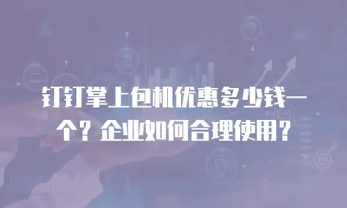 钉钉掌上包机优惠多少钱一个？企业如何合理使用？