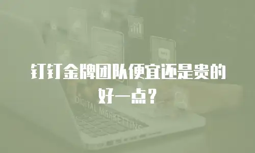 钉钉金牌团队便宜还是贵的好一点？