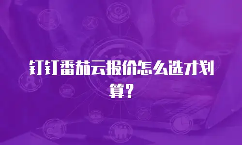 钉钉番茄云报价怎么选才划算？
