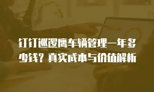 钉钉巡逻鹰车辆管理一年多少钱？真实成本与价值解析