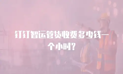 钉钉智运管货收费多少钱一个小时？