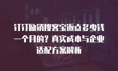 钉钉励销搜客宝返点多少钱一个月的？真实成本与企业适配方案解析