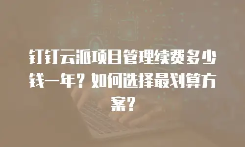 钉钉云派项目管理续费多少钱一年？如何选择最划算方案？