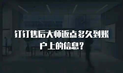 钉钉售后大师返点多久到账户上的信息？