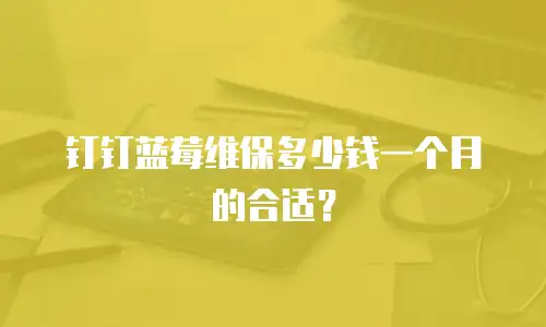 钉钉蓝莓维保多少钱一个月的合适？