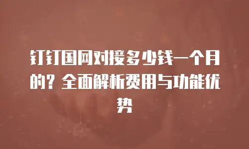 钉钉国网对接多少钱一个月的？全面解析费用与功能优势