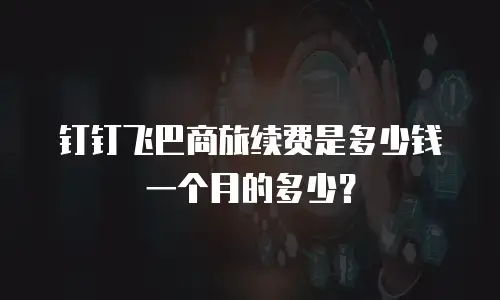 钉钉飞巴商旅续费是多少钱一个月的多少？