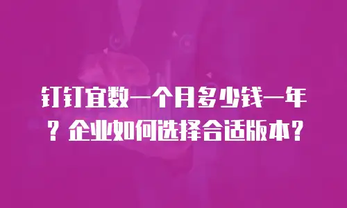 钉钉宜数一个月多少钱一年？企业如何选择合适版本？