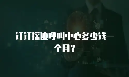 钉钉探迹呼叫中心多少钱一个月？