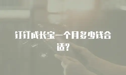 钉钉成长宝一个月多少钱合适？