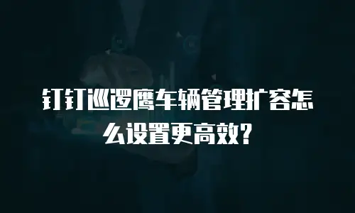钉钉巡逻鹰车辆管理扩容怎么设置更高效？