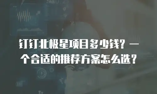 钉钉北极星项目多少钱？一个合适的推荐方案怎么选？