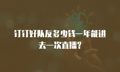 钉钉好队友多少钱一年能进去一次直播？