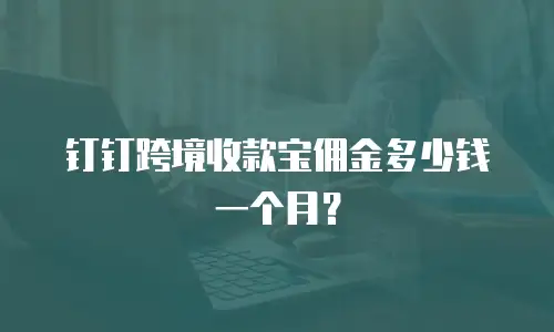 钉钉跨境收款宝佣金多少钱一个月？