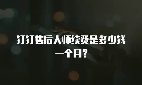 钉钉售后大师续费是多少钱一个月？