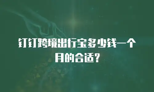 钉钉跨境出行宝多少钱一个月的合适？