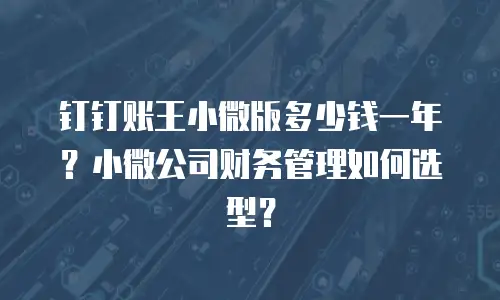 钉钉账王小微版多少钱一年？小微公司财务管理如何选型？