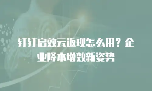 钉钉启效云返现怎么用？企业降本增效新姿势