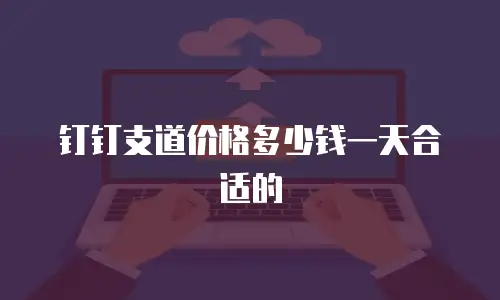 钉钉支道价格多少钱一天合适的