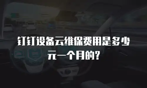 钉钉设备云维保费用是多少元一个月的？