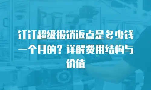 钉钉超级报销返点是多少钱一个月的？详解费用结构与价值