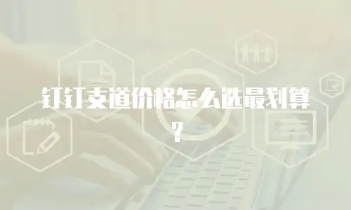 钉钉支道价格怎么选最划算？