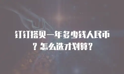 钉钉搭贝一年多少钱人民币？怎么选才划算？