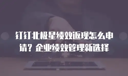钉钉北极星绩效返现怎么申请？企业绩效管理新选择