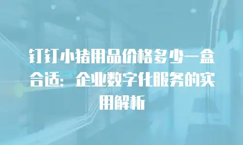 钉钉小猪用品价格多少一盒合适：企业数字化服务的实用解析