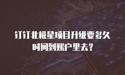 钉钉北极星项目升级要多久时间到账户里去？