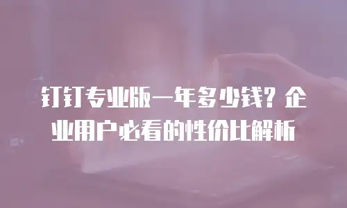 钉钉专业版一年多少钱？企业用户必看的性价比解析