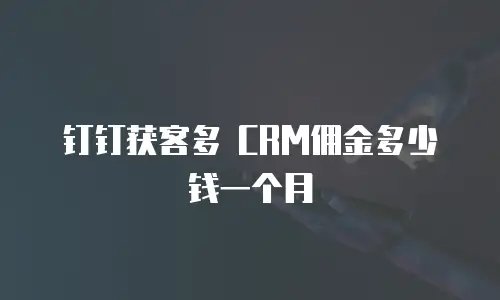 钉钉获客多 CRM佣金多少钱一个月