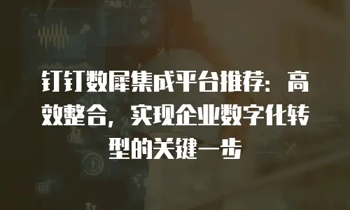 钉钉数犀集成平台推荐：高效整合，实现企业数字化转型的关键一步