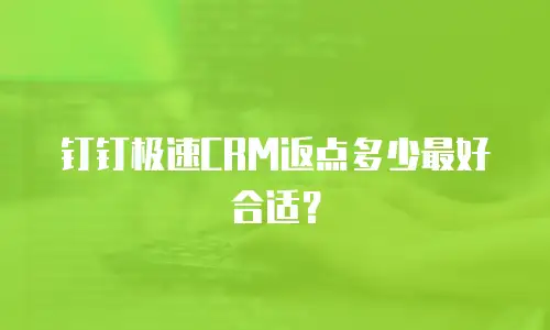 钉钉极速CRM返点多少最好合适？