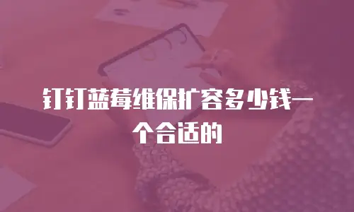 钉钉蓝莓维保扩容多少钱一个合适的