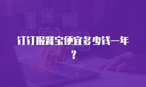 钉钉报餐宝便宜多少钱一年？