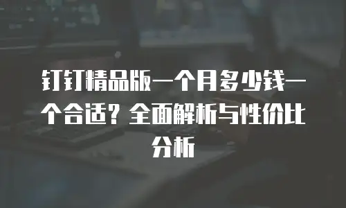 钉钉精品版一个月多少钱一个合适？全面解析与性价比分析
