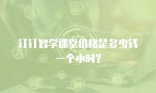 钉钉智学课堂价格是多少钱一个小时？