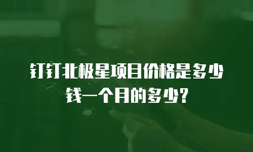 钉钉北极星项目价格是多少钱一个月的多少？