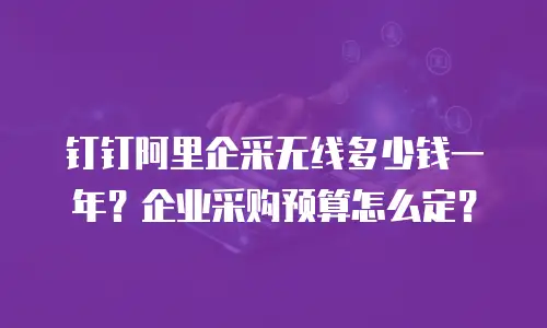 钉钉阿里企采无线多少钱一年？企业采购预算怎么定？