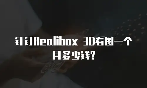 钉钉Realibox 3D看图一个月多少钱？