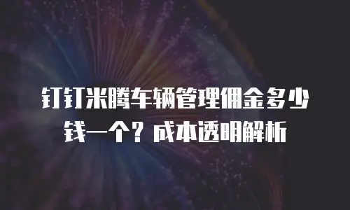 钉钉米腾车辆管理佣金多少钱一个？成本透明解析