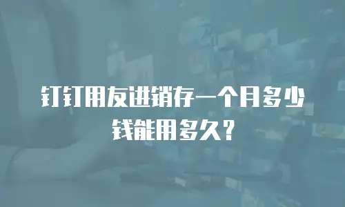 钉钉用友进销存一个月多少钱能用多久？